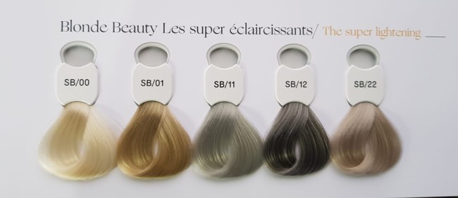 Kydra Le Salon Blonde Beauty SB01 Крем-краска для волос "Экстра Светлый Блонд" с экстрактом сигезбекии, сои, эпалина, 60мл. Kydra Le Salon Blonde Beauty SB01 Крем-краска для волос "Экстра Светлый Блонд" с экстрактом сигезбекии, сои, эпалина, 60мл.