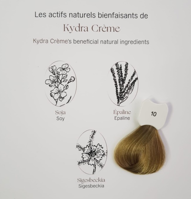 Kydra Crème 10/ Lightest Blonde Hair Colore Treatment Cream Стойкая крем-краска для волос 60мл